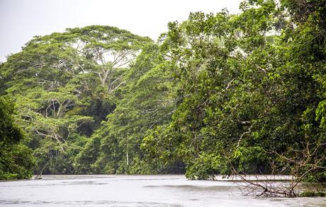 La Paya, amazonia colombiana