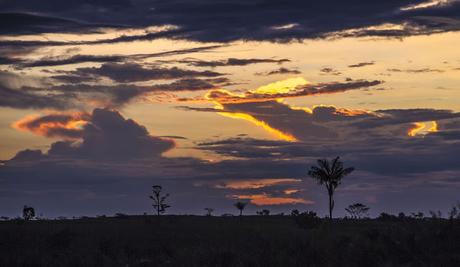 La Paya, amazonia colombiana