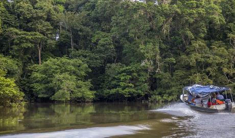 La Paya, amazonia colombiana