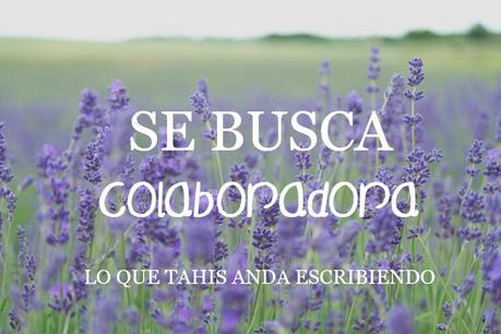 Se busca colaboradora para La Isla de los Blogs Se busca colaboradora para La Isla de los Blogs