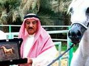 Arabia Saudí ejecutará caballo homosexual