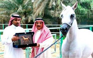 Arabia Saudí ejecutará un caballo por ser homosexual
