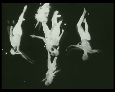 The very eye of night - 1958