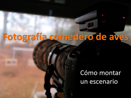 Como montar un escenario en un comedero de aves