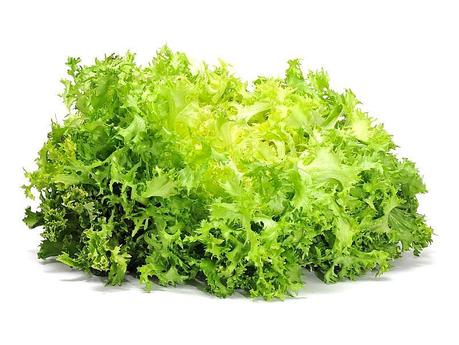 Escarola, fibra, minerales y vitaminas en invierno