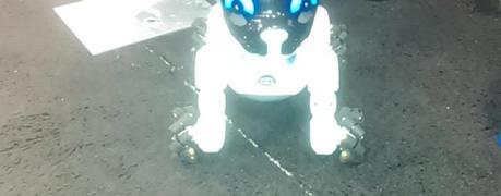 CHiP el perro robótico de WowWee es una nueva oferta en juguetes smart que cada vez más tienen la necesidad de estar conectados