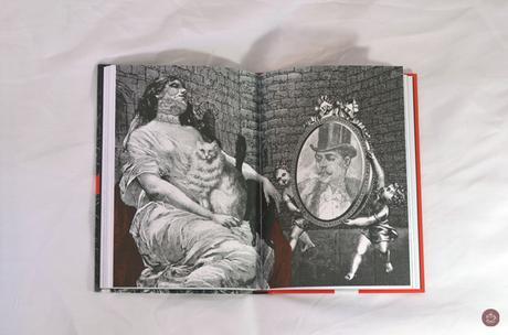 Book haul: libros ilustrados