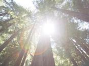 Lisa Bettany: persiguiendo belleza diversidad mundo