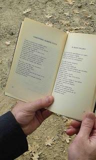 Lectura de Cementerio alemán, Yuste