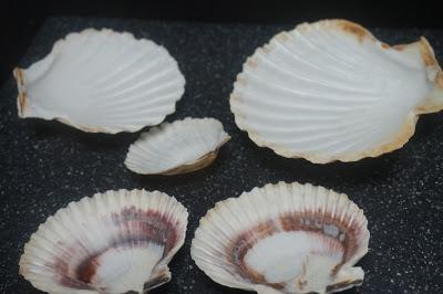 Recetas de Navidad- Conchas de bacalao