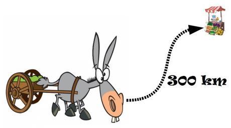 Solución del problema del burro y las zanahorias burroyzanahorias2