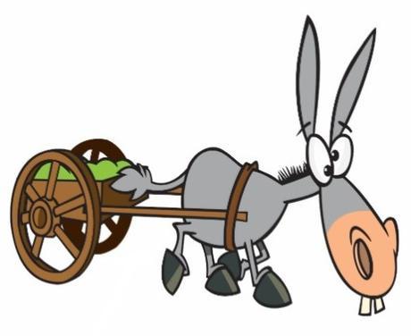 Solución del problema del burro y las zanahorias burro