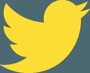 endometriosis-twitter