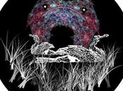 Variaciones sobre cormorán