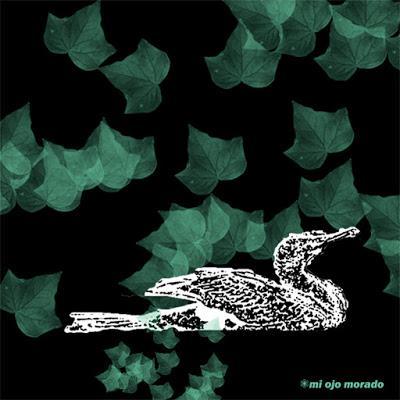 Variaciones sobre cormorán