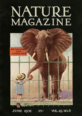 La edición de La domadora de elefantes