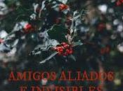 Amigos aliados invisibles