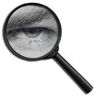 Para qué sirve un agregador de articulos