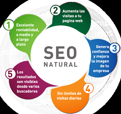 Posicionamiento Web