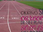 Necesitas plan