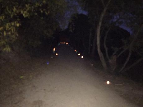 Como preparamos la búsqueda del Tió