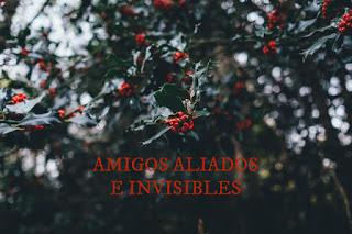 AMIG@S ALIAD@S INVISIBLES