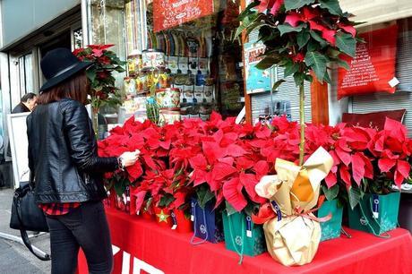 MADRID (XMAS) + DANIEL WELLINGTON