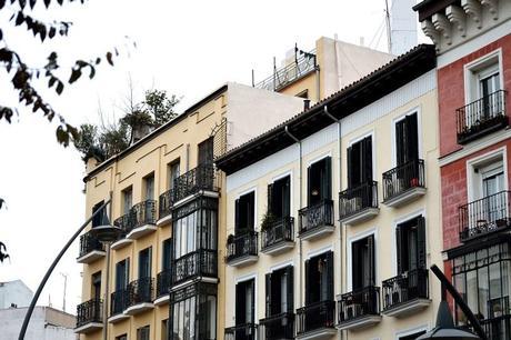 MADRID (XMAS) + DANIEL WELLINGTON