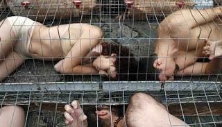 MILENA O EL FÉMUR MÁS BELLO DEL MUNDO