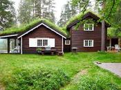 Cabaña Rustica Techos Verdes