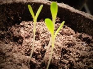 a emprender también se aprende