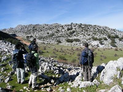 Ascensión al Navazo Alto - 1395 metros (Villaluenga del Rosario, Cádiz)