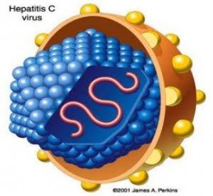 The Lancet publica un estudio sobre la eficacia y seguridad de una nueva combinación de fármacos orales para el tratamiento de la Hepatitis C