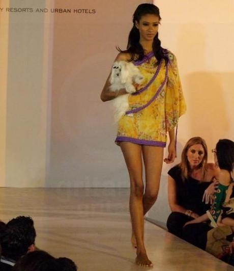 MARKPATITO0012-518x600 Pasarela Complete Me Pet