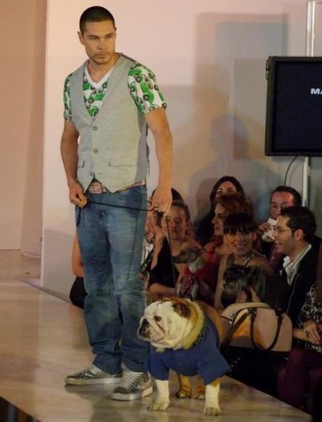 MARKPATITO0011-458x600 Pasarela Complete Me Pet