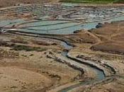 Informe oasis marino senegal