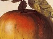 quiero destetar bebé?