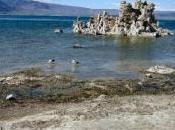 NASA desvela hallazgo microbio alimenta arsénico