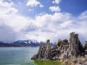 Bacteria NASA adaptada arsénico