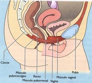 Suelo pelvico, bolas chinas