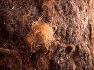 :: Hoy inagura temporada 2.1 - EAC ::