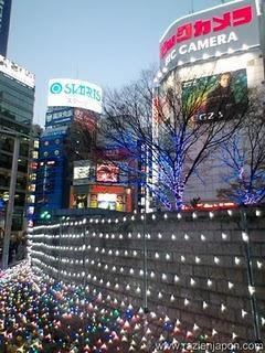 Navidad 2010 y temas variados