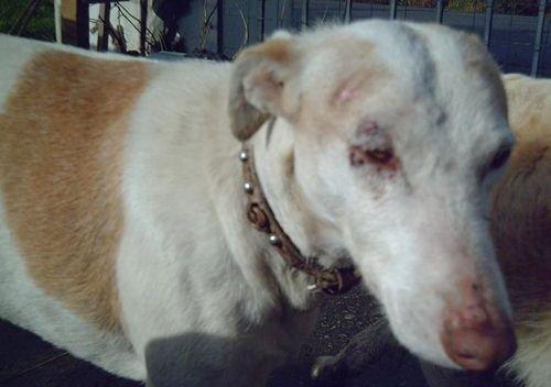 Sam, es tan bueno que sus compañeros lo pueden matar