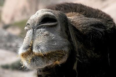 La Magia de Turquía: De Paseo por Estambul y Capadoccia, parte 2