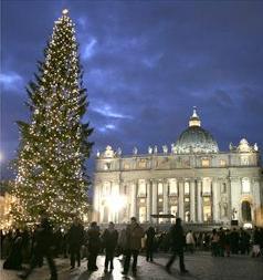 Un abeto de Navidad de 94 años adorna el Vaticano