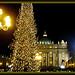 Un abeto de Navidad de 94 años adorna el Vaticano
