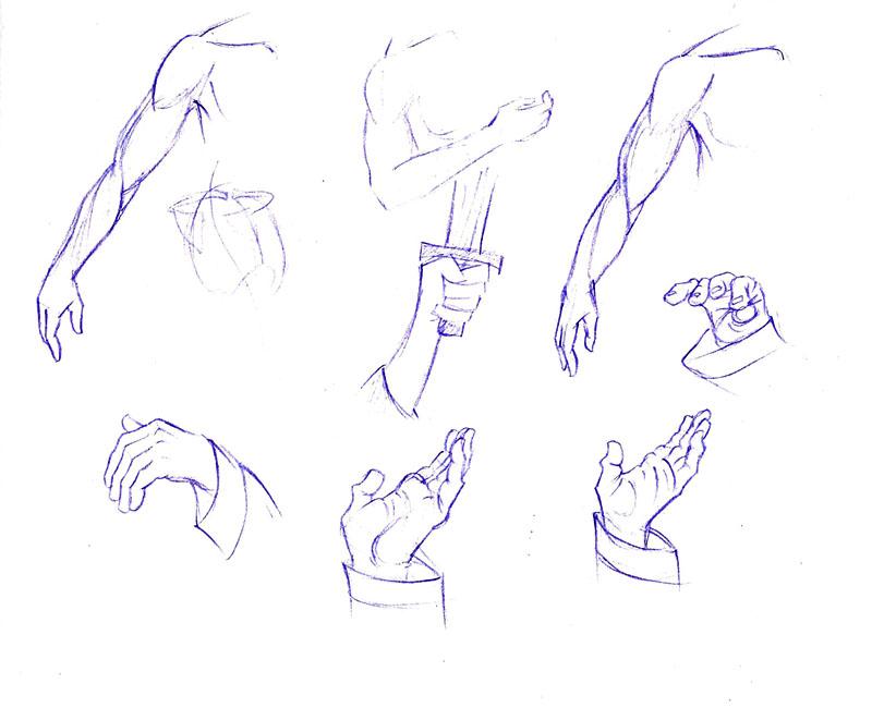 Hands and arms