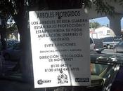 Protegiendo medio ambiente