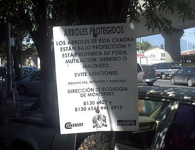 Protegiendo el medio ambiente