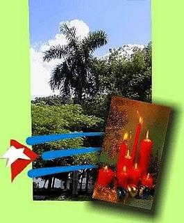 Christmas In Habana Cuba